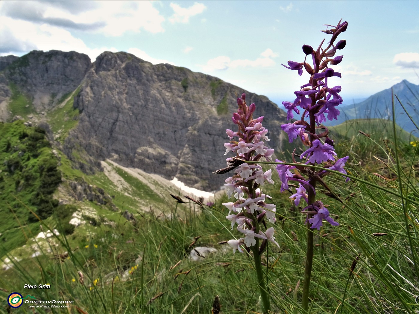 75 Orchidee con vista verso lo Zucco Barbesino.JPG